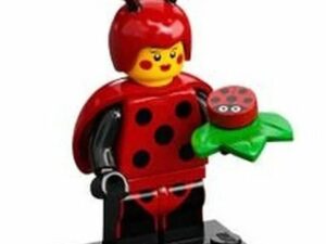 Set Col21 4 Ladybug Girl